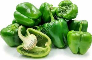 A Grade Green Capsicum