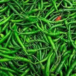 A Grade Green Chilli