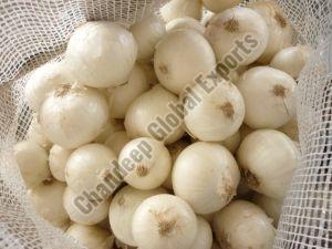 A Grade White Onion