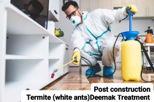 White Ant Termite Pest Control Service