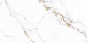 Adrina Statuari Statuario Collection Vitrified Tile