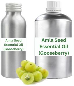 Amla Seed Essential Oil