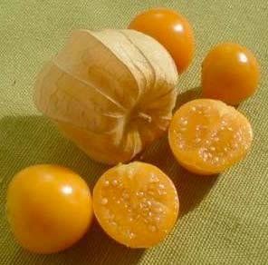 cape gooseberry