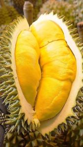 Durian