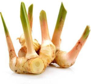 Galangal