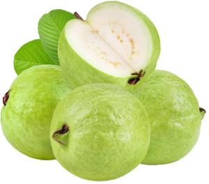 Guava