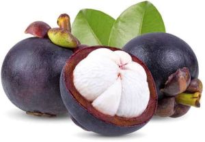 Mangosteen