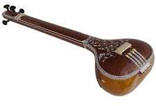 Male Tanpura