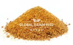 Corn Dried Distillers Grain Solids (DDGS)