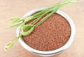 Ragi Seeds