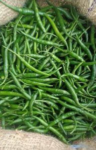 Fresh Green Chilli