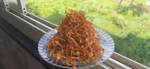 Cordyceps Militaris Mushroom