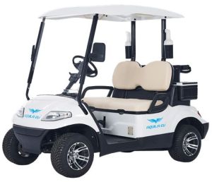 2 Seater Electric Golf Cart