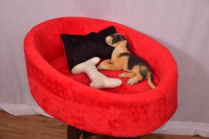 Dog Bed