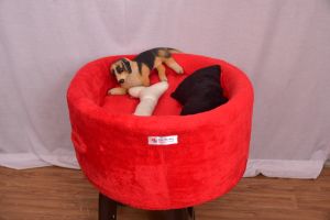 Dog Bed