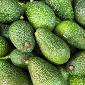 Fresh Hass Avocado