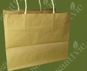 Paper Carry Bag