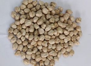 white pea