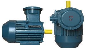 Torqueon Induction Motor Italy