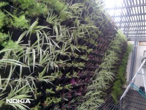 vertical gardens