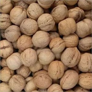 Walnut Kernels