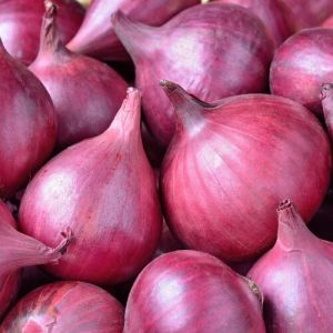 Onions