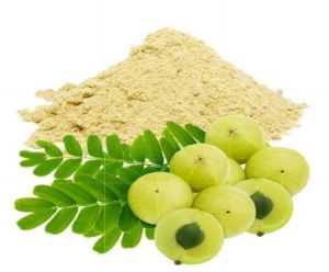 Amla Powder