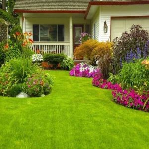 Home Garden Designing Services