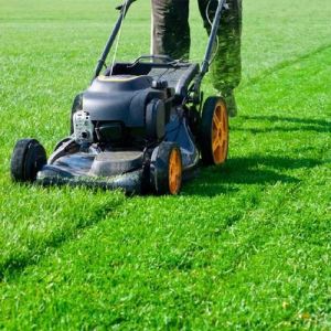 Lawn Maintenance Services