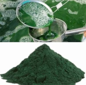 Spirulina