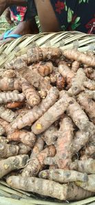 Raw Turmeric