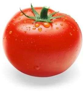 Fresh Tomato