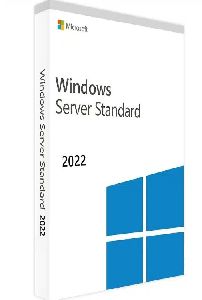 Microsoft Windows Server Standard 2022