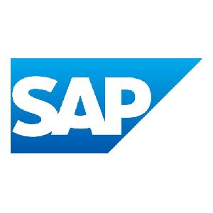 Sap Consultants