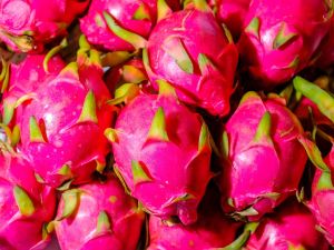 Dragon Fruits