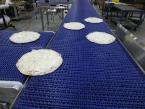 Food Handling Conveyor