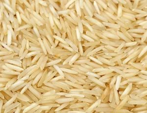 Basmati rice