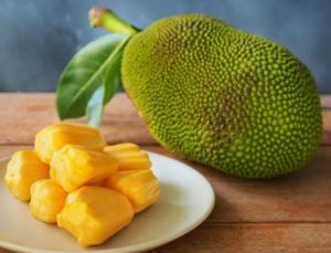 Jack Fruit