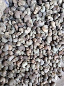 Benin Raw Cashew Nut