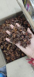 Star Anise Seeds