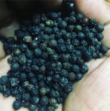 Vietnam black pepper