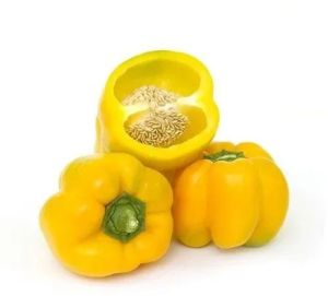 Yellow Capsicum