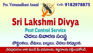 All pest control services