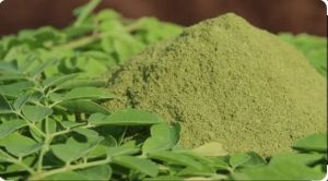 Organic Moringa Powder