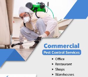 Organic Pest Control Service