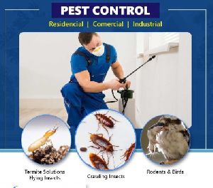 termite pest control service