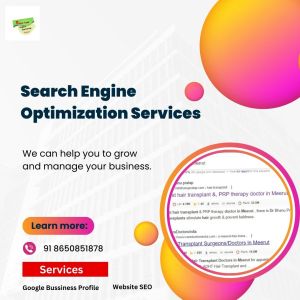 Search Engine Optimization Services