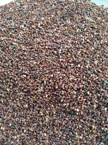 Brown Sesame Seeds