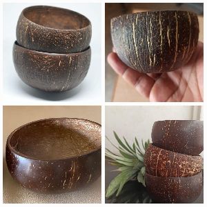 Coconut Shell Bowl