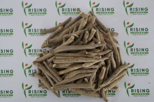 Ashwagandha Root Extract